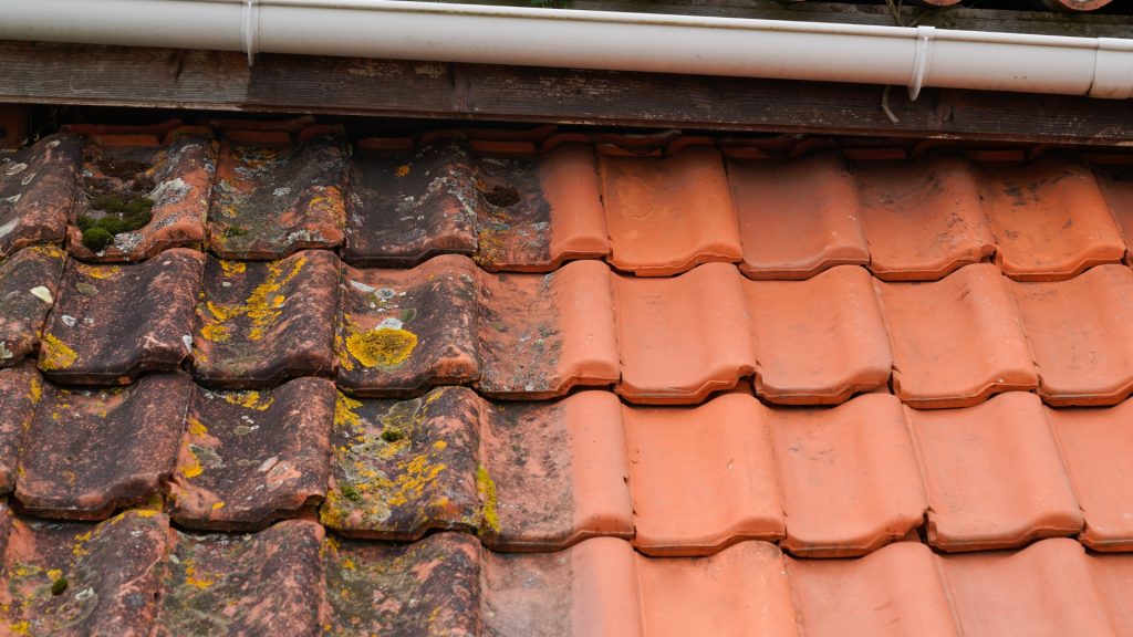 xr:d:DAFf4DvU6-c:76,j:3001126332,t:23041907 Couvreur Lentilly, Couvreur Matray